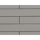CEDRAL lap Fassadenpaneel grau C56